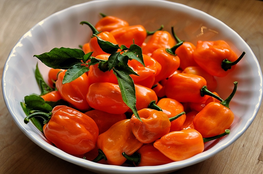Photograph of a bowl of habanero peppers.